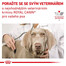 ROYAL CANIN Veterinary Diet Dog Gastrointestinal Low Fat 12 kg granule so zníženým obsahom tuku pre dospelých psov s ochorením tráviaceho traktu