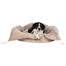 TRIXIE Legowisko king of dogs 70 x 55 cm beżowe