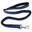 PET NOVA Vodítko Bungee 2,5cm x120-180cm modré