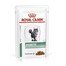ROYAL CANIN Veterinary Health Nutrition Cat Diabetic Pouch 48 x 85g