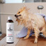 PETS Shampoo Vitamínový šampón na krátke vlasy 250 ml