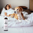 PETS Shampoo Vitamínový šampón na krátke vlasy 250 ml