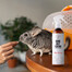PETS Home Mist Perfume Sea Breeze 250 ml neutralizátor zápachu