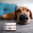PETS Nose & Paw Balm balsam do pielęgnacji nosa i łap 75 ml