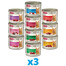ANIMONDA Carny mix 10 príchutí 30 x 200 g