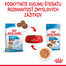 ROYAL CANIN Medium puppy 40x140 g kapsička pre stredné šteňatá