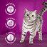 WHISKAS Adult kapsičky pre mačky v omáčke s jahňacím a morčacím mäsom 28x85g