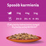 WHISKAS Adult Hovädzie a hydinové v želé 28x85g