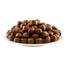 Applaws Dog Adult Large Breed Chicken 7,5kg- granule pro dospělé psy velkých plemen