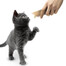 APPLAWS Cat Treat Chicken Puree 10 x (8 x 7g)