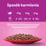 WHISKAS Adult Hovädzie v omáčke 28x85g