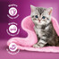 WHISKAS Junior kapsičky pre mačiatka v želé: kuracie, morčacie, hydinové a kačacie mäso 48x85g