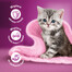 WHISKAS Junior kapsičky pre mačiatka v želé 52x85g
