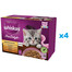WHISKAS Junior kapsičky pre mačiatka v želé: kuracie, morčacie, hydinové a kačacie mäso 48x85g