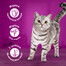 WHISKAS Junior Kuracie v želé 28x85g