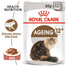 ROYAL CANIN Ageing +12 Jelly 48x85g kapsička pre staré mačky v želé