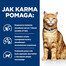 HILL'S Prescription Diet c/d Multicare s kuracím mäsom 3 kg