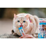 INABA Churu Cat 56 g