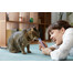 INABA Churu Cat kuracie s krevetami 56 g