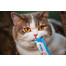 INABA Churu Cat kuracie mäso s krabom 56 g