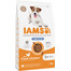 IAMS ProActive Health Adult Light in Fat for Sterilsed / Overweight dogs Chicken 3 kg