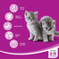 WHISKAS Junior kurča 300 g