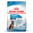 ROYAL CANIN Maxi Puppy 15kg granule pre šteňatá veľkých plemien