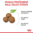 ROYAL CANIN Maxi Puppy 15kg granule pre šteňatá veľkých plemien