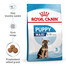 ROYAL CANIN Maxi Puppy 15kg granule pre šteňatá veľkých plemien