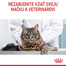 ROYAL CANIN Digestive care 10 kg granule pre mačky na podporu zdravého trávenia
