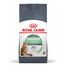 ROYAL CANIN Digestive care 10 kg granule pre mačky na podporu zdravého trávenia
