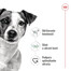 ROYAL CANIN Mini Adult 4kg granule pre dospelých psov malých plemien