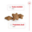 ROYAL CANIN Mini Adult 8kg granule pre dospelých psov malých plemien