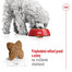ROYAL CANIN Mini Adult 8kg granule pre dospelých psov malých plemien