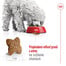 ROYAL CANIN Mini Adult 4kg granule pre dospelých psov malých plemien