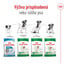 ROYAL CANIN Mini Adult 4kg granule pre dospelých psov malých plemien