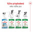 ROYAL CANIN Mini Adult 2kg granule pre dospelých psov malých plemien