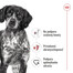 ROYAL CANIN Medium Adult 4kg granule pre dospelých psov stredných plemien starších ako 12 mesiacov