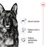 ROYAL CANIN Maxi Adult 15kg granule pre dospelých psov veľkých plemien