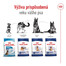 ROYAL CANIN Maxi Adult 15kg granule pre dospelých psov veľkých plemien