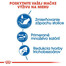 ROYAL CANIN Indoor 4 kg granule pre dospelé mačky chované v byte