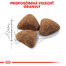 ROYAL CANIN Indoor 4 kg granule pre dospelé mačky chované v byte