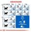 ROYAL CANIN Indoor 4 kg granule pre dospelé mačky chované v byte