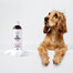 PETS Shampoo s harmančekom pre citlivú pokožku 250 ml