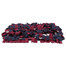 TRIXIE Dog Activity SNIFFING CARPET  50 x 34 cm