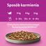 WHISKAS Adult mix hydinových príchutí v želé 40x85g