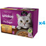 WHISKAS Adult vrecúško 48x85g Hydinové hody krmivo pre dospelé mačky v želé s: kura, morka, hydina, kačica