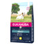 EUKANUBA Adult Small Breeds Chicken bohatá na čerstvé kuracie 3 kg