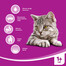 WHISKAS Sterile Adult  s kuracím mäsom 1,4 kg