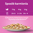 WHISKAS Tasty Mix Kremowe Wariacje z kurczakiem, jagnięciną i indykiem w sosie 12x85g